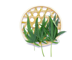 Herb leaf