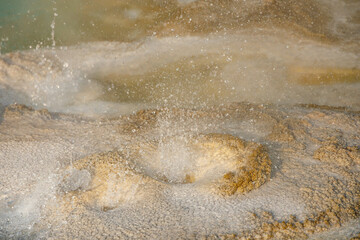 Spasmodic Geyser, Hydrothermal feature at Yellowstone National Park, close-up