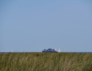 Schiff über Schilf auf Fehmarn