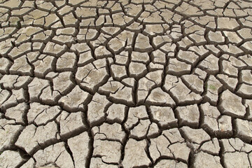 The bottom of a pond or lake during a severe drought. Many cracks in the mud.