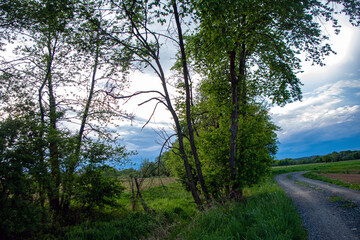 Obraz premium Landschaft