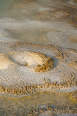 Spasmodic Geyser, Hydrothermal feature at Yellowstone National Park, close-up