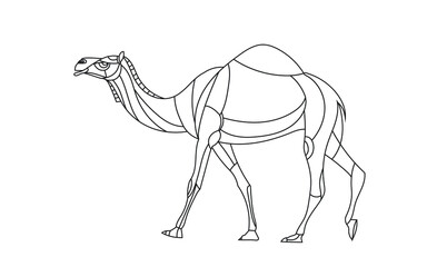 Camel line illustration. Geometric abstract animal drawings. Contour drawing.