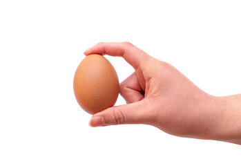 Hand holding a brown chicken egg ideal for advertising