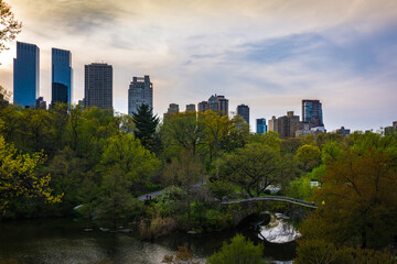 Central Park with a view of trees and Manhattan skyscrapers in the background 
