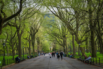 New York, NY / USA - April 24 2020: View of the Central Park's Mall and Literary Walk with people passing by and relaxing