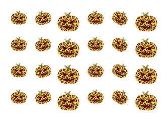 Pumpkin leopard pattern