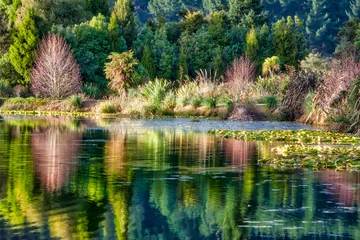 Reflexionen der Natur. Dunhams Point Reserve, Nordinsel © Stewart
