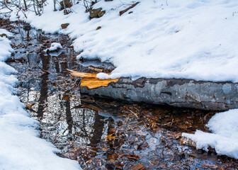 Winter Wonderland - The trunk of a fallen tree lays across the unfrozen water of a small brook in a rural forest in Nova Scotia.