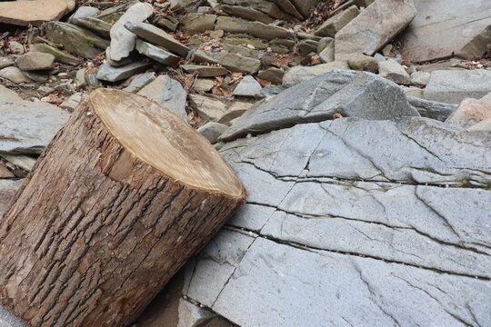 Wood and Stone