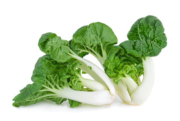 mini bok choy or bok choy isolated on white background