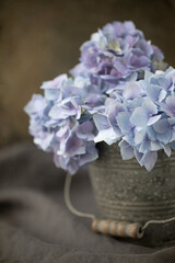 Original textured still-life photograph of blue hydrangea blooms in a galvanized bucket with a dark background