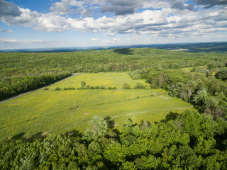 Field and forest landscape from air