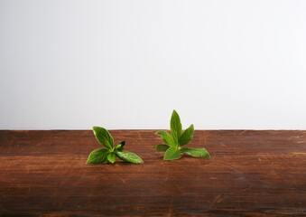 Vintage wall of gray and desk