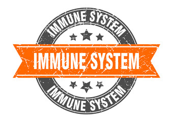 immune system round stamp with ribbon. label sign