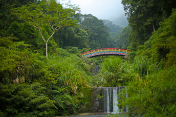 There is a rainbow bridge across a small stream in the lush forest
