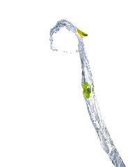 water splash isolated on white