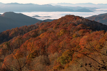 autumn landscape in the mountains