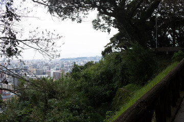 高台からのぞむ景色