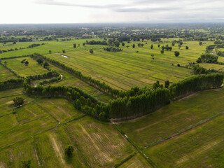 vineyard in region country
