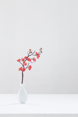 flowering pink cherry branch in vase on white background