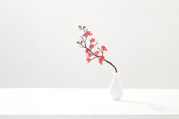 flowering pink cherry branch in vase on white background