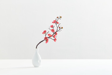 flowering pink cherry branch in vase on white background