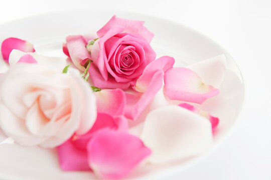 roses and petals on plate