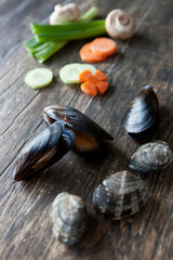 mussel and manila clam