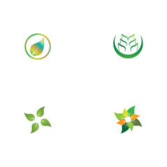 Set Leaf  ecology Logo Template vector