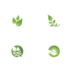 Set Leaf  ecology Logo Template vector
