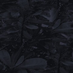 Dark moody almost black leaf seamless pattern. High quality illustration. Deep mysterious distant and faded leaf foliage design. Luxurious shadow surface pattern design for interiors or backgrounds.