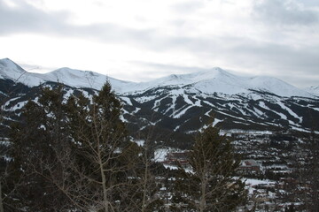 snow covered mountains