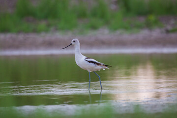 green lake