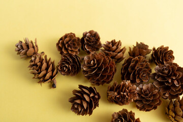 まつぼっくり,秋,木,自然,クリスマス,デコレーション,飾り,季節,森,松,黄色,茶色,