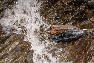 アウトドア　川でジュースを冷やす