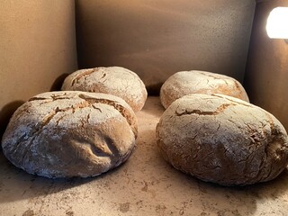 Frisch eingeschobenes Brot im Steinbackofen