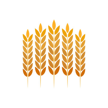 Oat pattern wallpaper. oat symbol. free space for text.