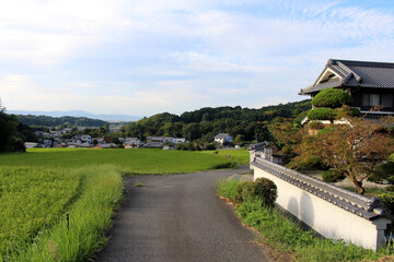 Japanese houses, paddy field, and countryside in Asuka, Nara