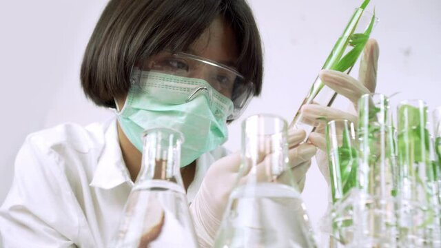 Sientist work with plant in test tubes in laboratory. Dolly shot
