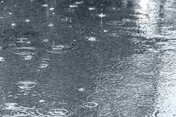 ripples from the raindrops on asphalt. raindrops rippling in a puddle. blue toned image