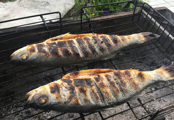 grilled sea bass. fish cooked on a wire rack. sea fish. beautiful appetizing fish. grilled fish