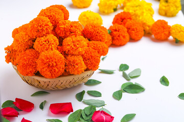 Marigold flowers in basket on white background