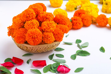 Marigold flowers in basket on white background