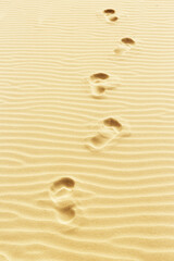 Fototapeta na wymiar Top view on sand dunes. Footsteps in the sand