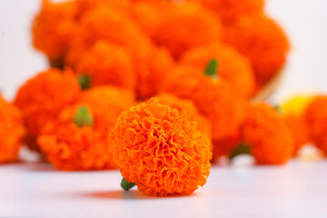 Marigold flowers on white background