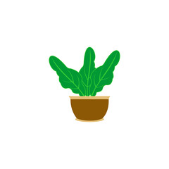 plant in a pot icon vector symbol