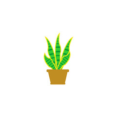 plant in a pot icon vector symbol