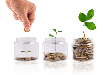 Closeup of a hand dropping a coin into a transparent jar used as a savings piggy bank on the white background with  plants are growing.