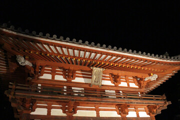 Fototapeta na wymiar Entrance gate of Okadera Temple at night, in Asuka